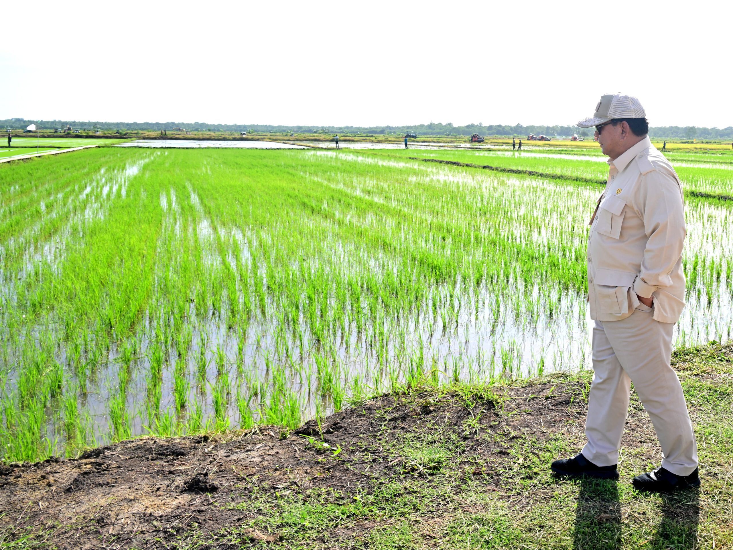 Selamat Ulang Tahun ke-74 Presiden Republik Indonesia, Bapak Prabowo Subianto